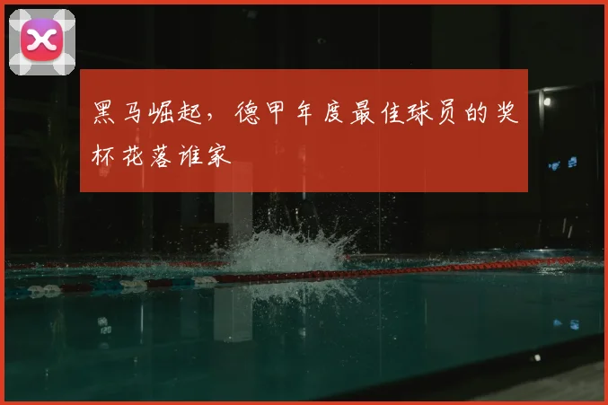 黑马崛起，德甲年度最佳球员的奖杯花落谁家